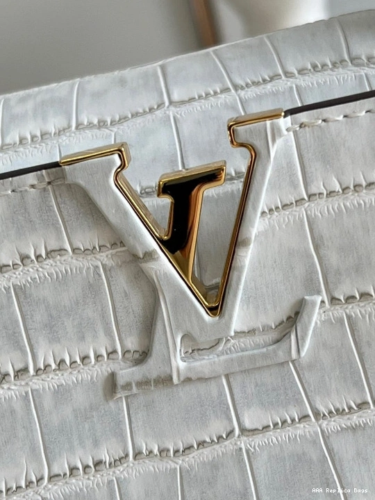 Aaa replica bags VUITTON MINI CAPUCINES LOUIS 0816
